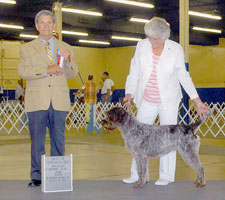 Click here for larger photo and extended pedigree